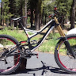 Meet your Posher, Carter